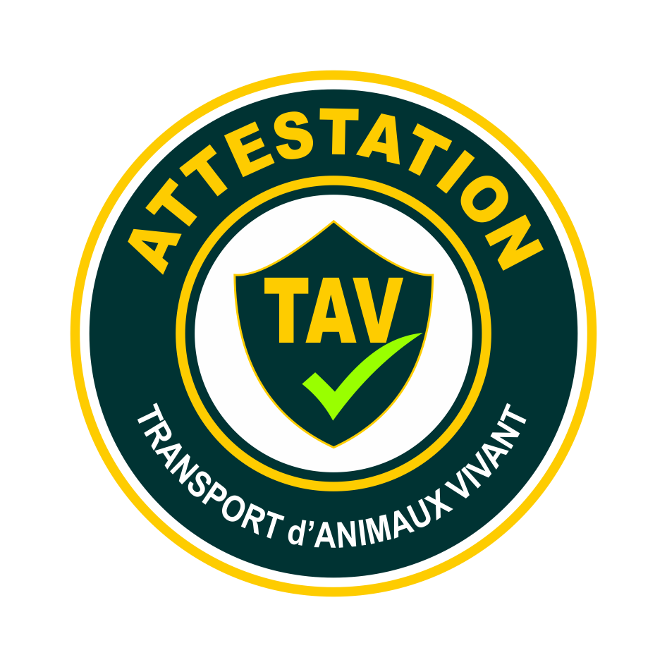 T.A.V